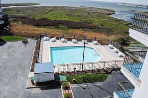 Pool - Bayfront condo with water & sunset views, balcony & pool - walk everywhere (Ocean City)