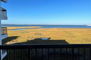 Property grounds - Bayfront condo with water & sunset views, balcony & pool - walk everywhere (Ocean City)