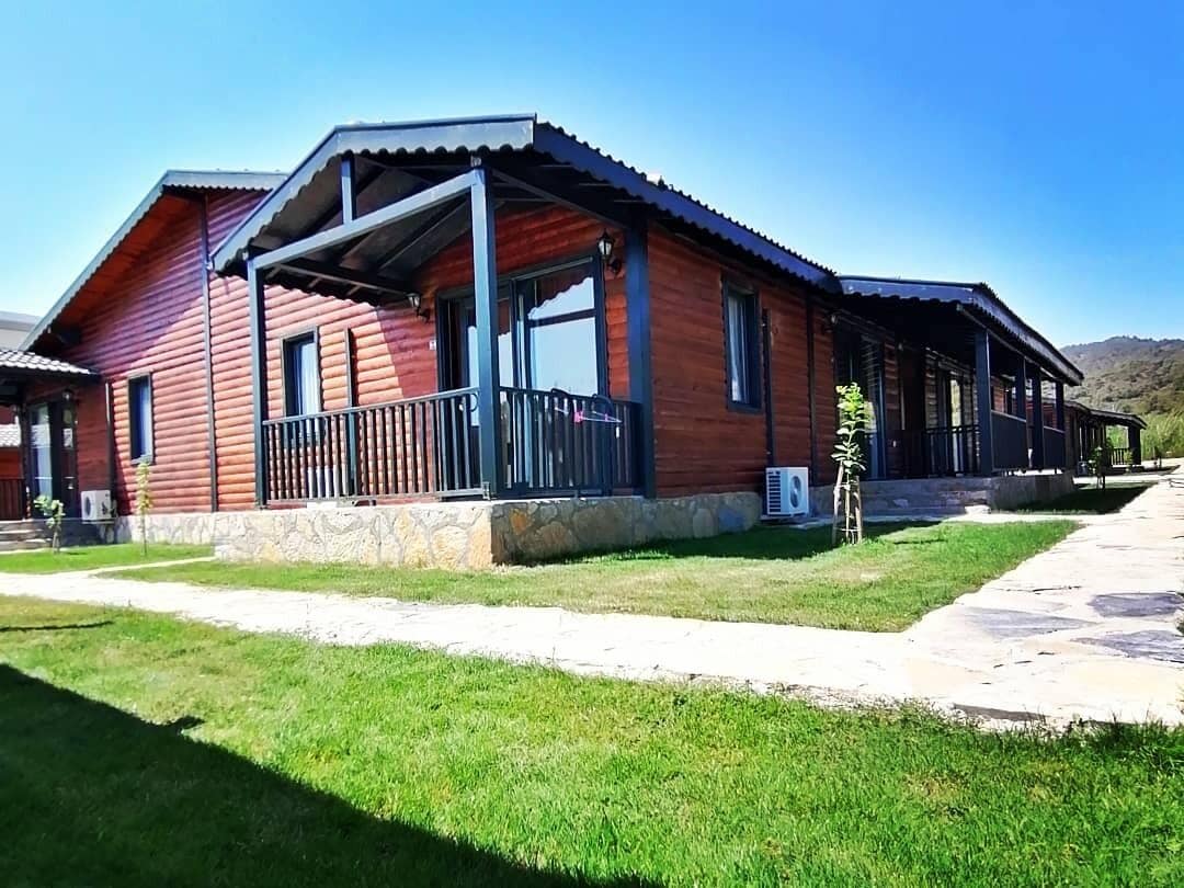 Trädgård