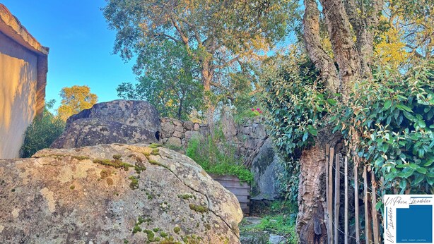 A stone wall, a large rock, and a tree with climbing plants. - Villa Caroubier - A peaceful stay just a stone's throw from the sea (Zonza)