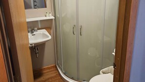 A bathroom with a glass-enclosed shower, a sink, and a toilet. - The Queen Mini Suite B (Craig)
