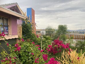 A building with a purple facade, a blue and red structure, and a garden with pink flowers.