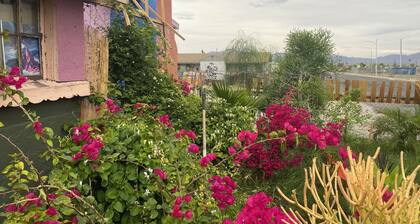 Magic ArtHouse at the heart of Las Vegas
Near everything