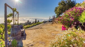 A vineyard with wooden barrels, a dirt path, and a white car parked on the side. - Casa El Algarrobo – Home above the clouds with sea views (Puntagorda)