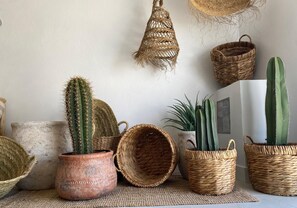 Various cacti and woven baskets against a wall.