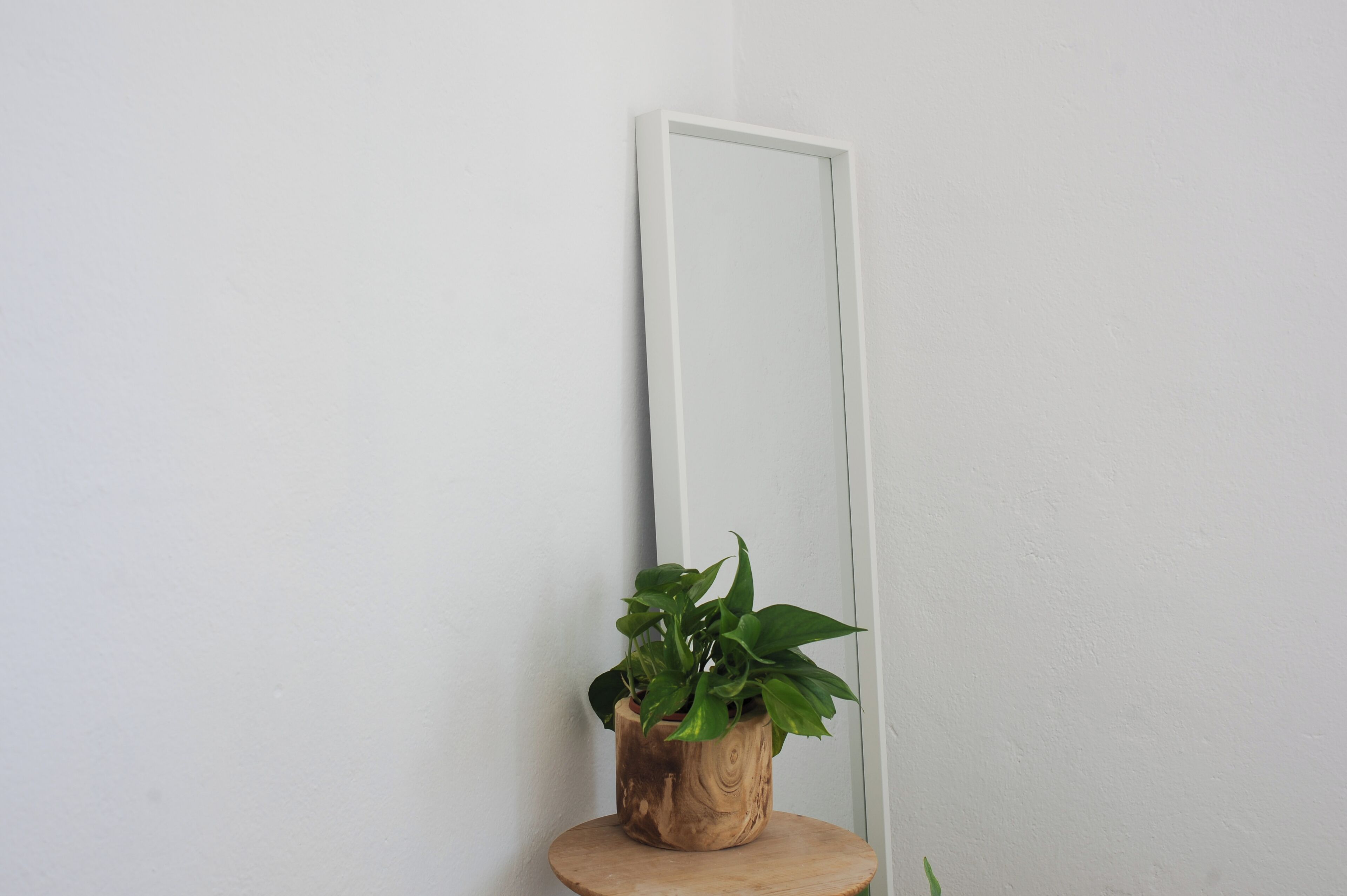 Una planta en maceta sobre un taburete de madera junto a una pared blanca con un espejo apoyado.