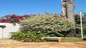 A stone patio with a bench, lush greenery, and a tree. - CARDOSO PALACE HOTEL RIO VERDE (Rio Verde)