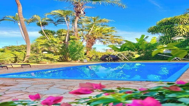 A swimming pool with surrounding tropical vegetation and a clear blue sky. - CARDOSO PALACE HOTEL RIO VERDE (Rio Verde)