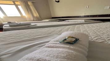 Triple Room, Garden View | Desk, laptop workspace, free WiFi