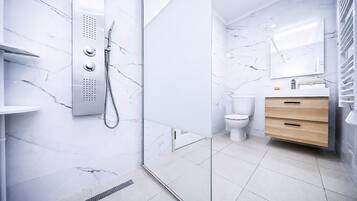 A modern bathroom with a glass shower enclosure, a toilet, and a vanity with a mirror.