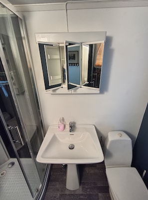 A bathroom with a white sink, a mirror, and a toilet.