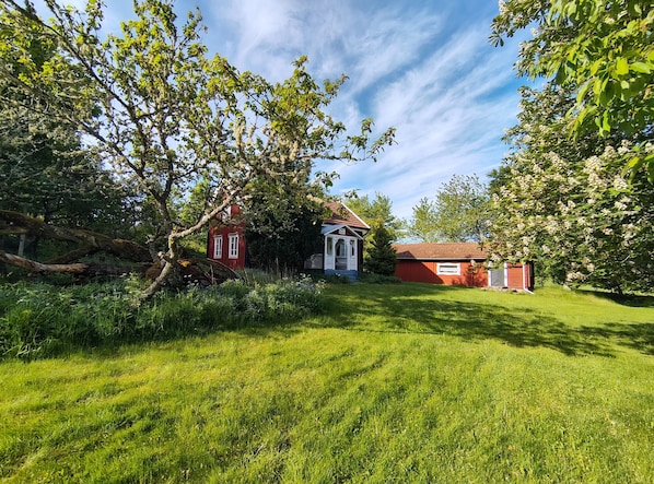 A rural landscape with a red house, a white house, and a barn.