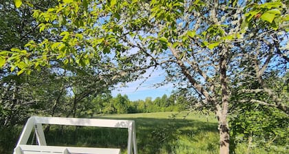 Beautiful vacation home on a large, sunny lot near the lake
