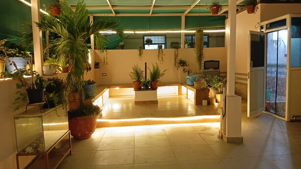 A spacious indoor area with multiple potted plants, a central seating area, and a television on a stand.