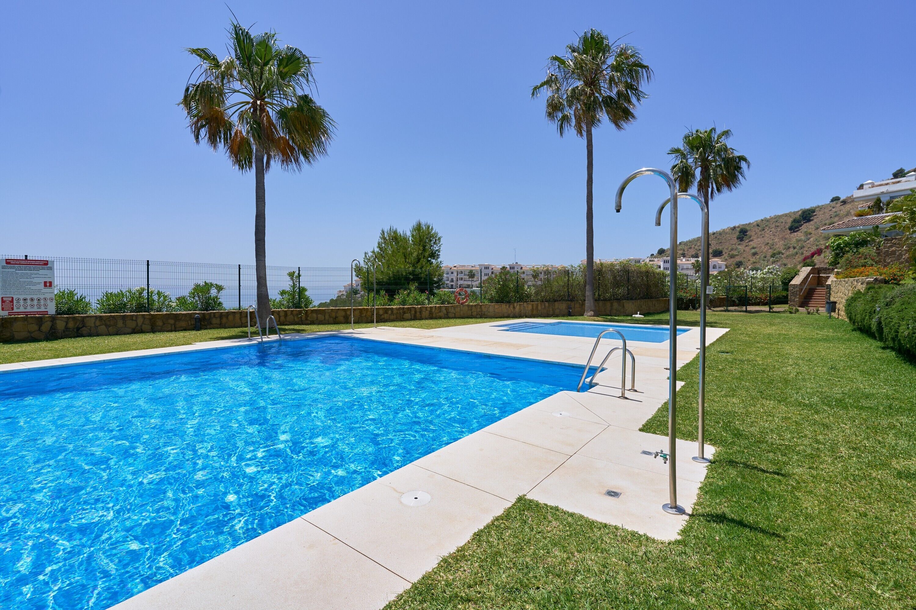 Una piscina con agua cristalina azul, rodeada por un césped cuidado y palmeras.