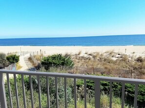Beach nearby - Beachfront Bliss | Ocean Views + Steps to Sand (Ocean City)