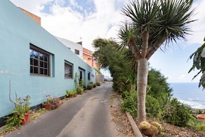 A narrow street with buildings, a palm tree, and a view of the ocean.