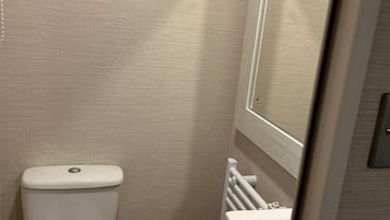 Shower, hair dryer