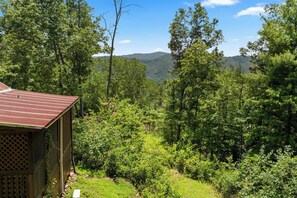 A rustic cabin with a metal roof, surrounded by dense forest and hills in the background.