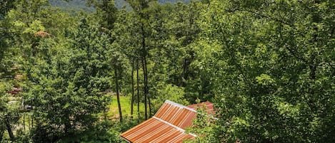 A cabin with a metal roof surrounded by dense forest and mountains in the background.