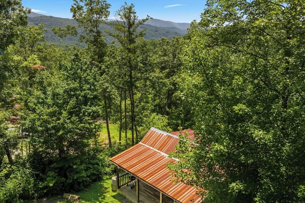 A cabin with a metal roof surrounded by dense forest and mountains in the background.