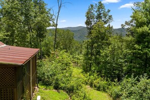 A cabin with a metal roof, surrounded by dense forest and hills in the background.