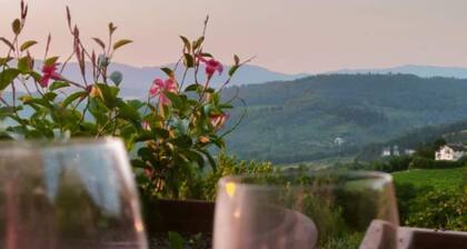 Podere Salceto, Terrasse des Chianti