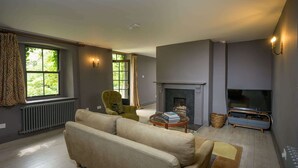 Un salon avec un canapé, un téléviseur, une cheminée et une fenêtre avec des rideaux.