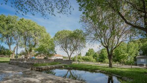 A serene outdoor area with a small pond, stone structures, and lush greenery.