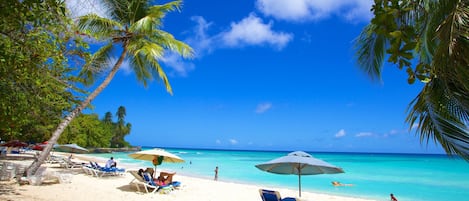 A beach with clear turquoise water, palm trees, and sun loungers.