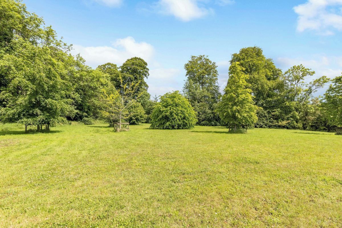 Ein grasbewachsenes Feld mit Bäumen und blauem Himmel.