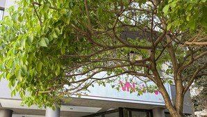 A building entrance with a glass door, a tree in front, and a sign above the door. - #CA405 | Cyclinn Casa do Ator Vila Olímpia (Vila Olímpia)