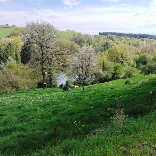 Gîte "les fleurs de lys