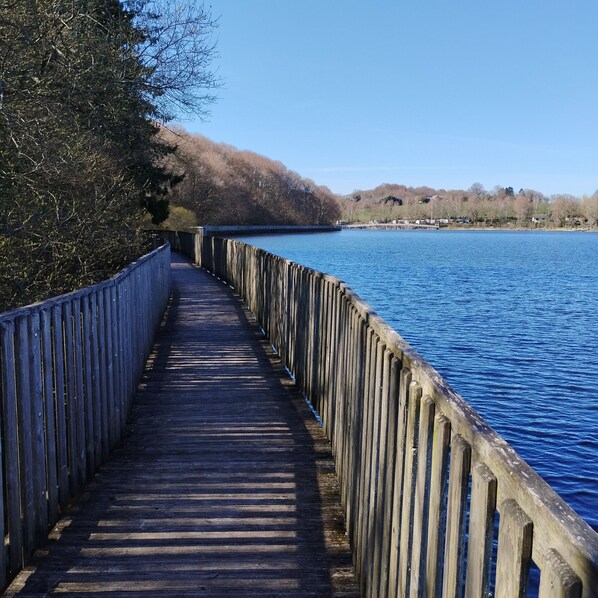 A wooden boardwalk leading to a body of water, surrounded by trees and a distant shoreline.
