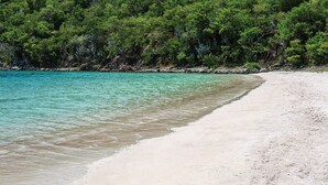 Een strand met helder turquoise water, een zandstrand en dichte groene begroeiing op de achtergrond.