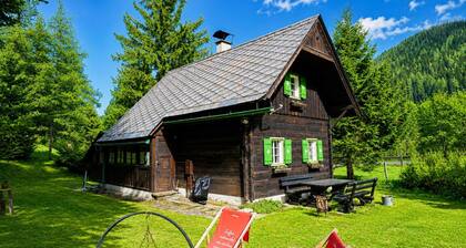 Cozy alpine hut in the mountains near ski areas