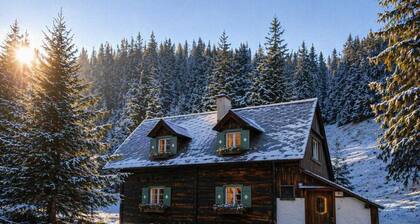 Cozy alpine hut in the mountains near ski areas