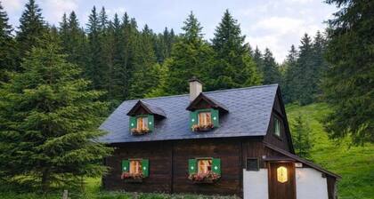 Uriges Almhütte in den Bergen nahe Skigebiete