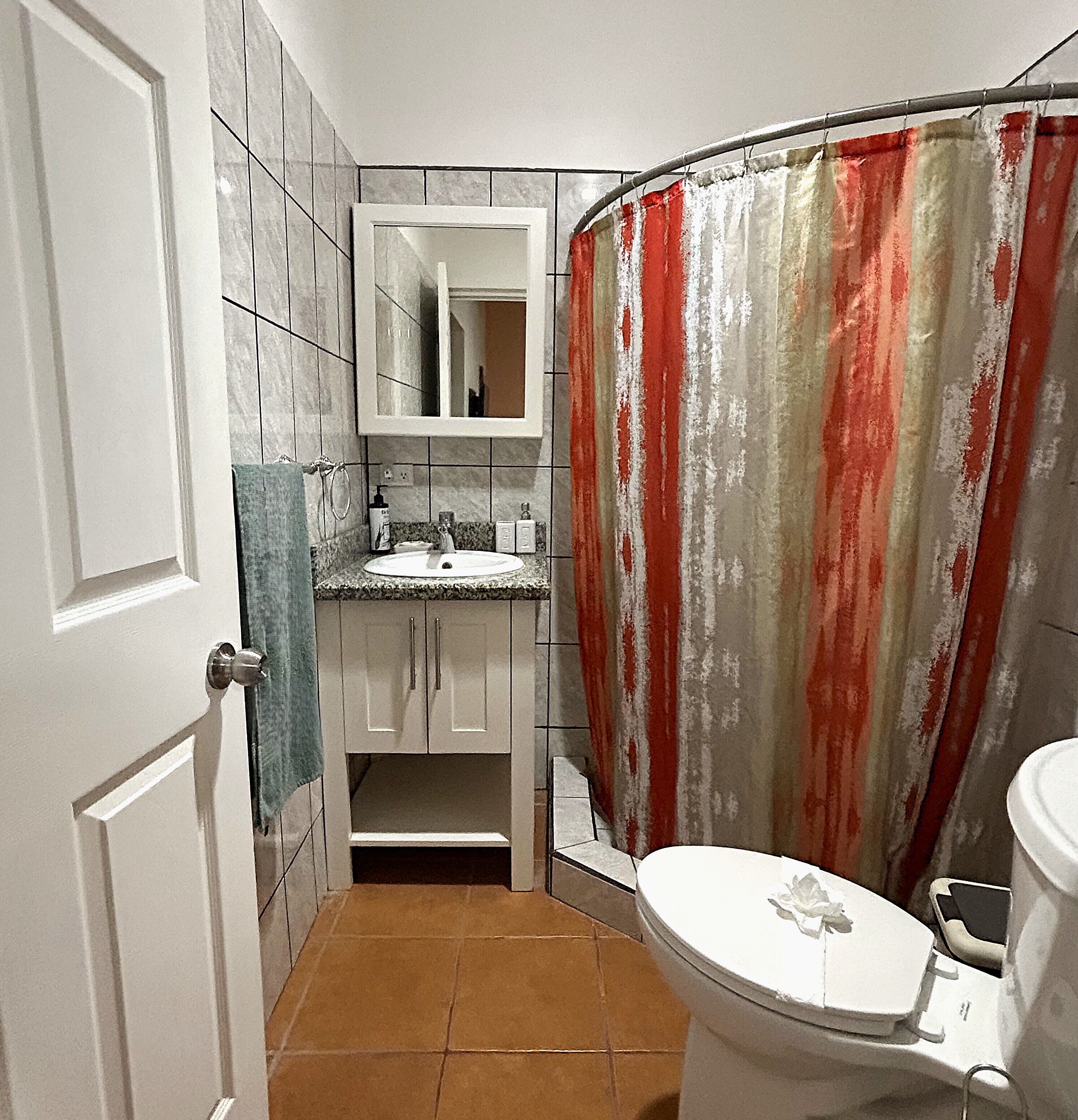 Shower, hair dryer, towels, toilet paper
