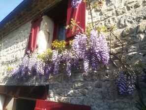 A stone building with red shutters and purple wisteria hanging from the eaves. - Authentic Charente house in a quiet natural area (La Villedieu)
