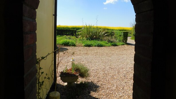 An arched doorway leading to a gravel area with a flower bed and a field of yellow flowers in the background. - Beechwood Cottage, Alby -  a quaint, rural cottage that sleeps 2 guests  in 1 bedroom (Alby)