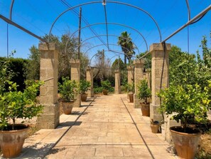 A pathway flanked by stone pillars and potted plants, leading to a covered area with a clear blue sky.