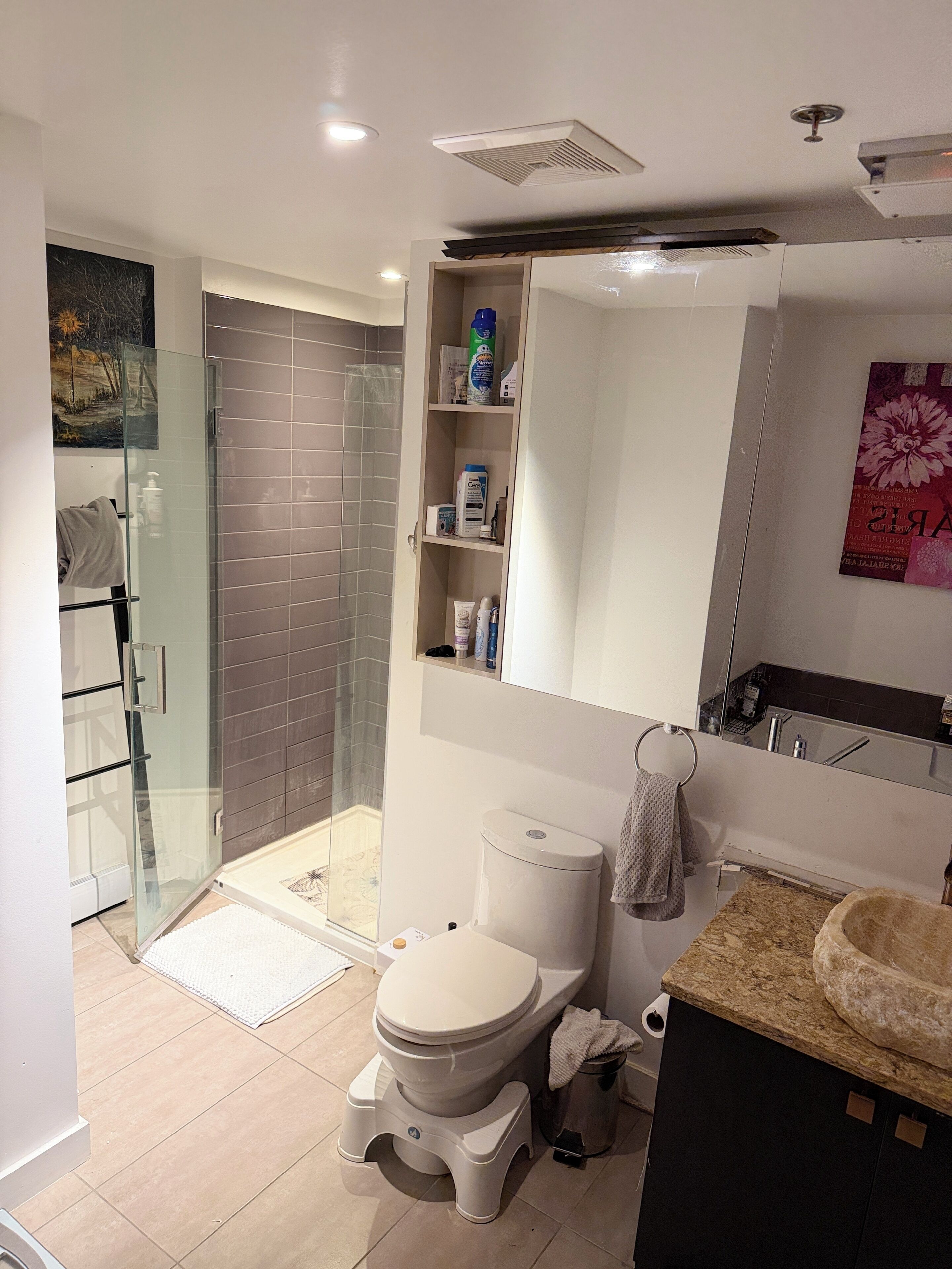 Hair dryer, bidet, towels, soap