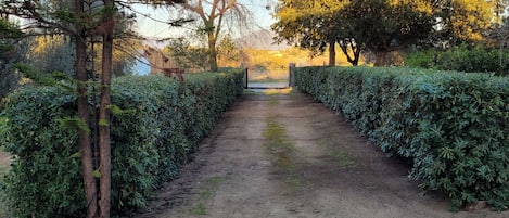 Property grounds