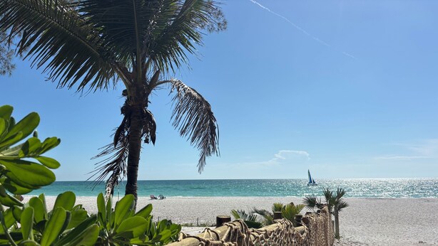 A beach with a rope barrier, palm trees, and a sailboat in the distance. - Steps to Beach - Prime Location Beach Bungalow – Beach Gear (Holmes Beach)