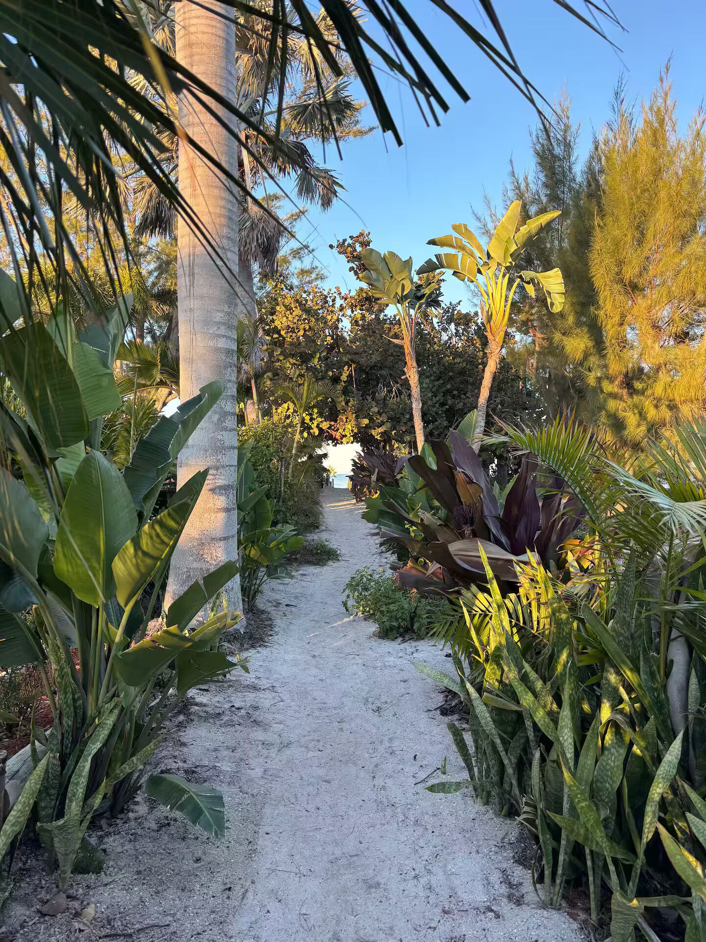 29th Street Beach Access