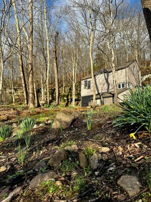 Exterior detail - Cozy Bluff Retreat by Giant City & Makanda Boardwalk. 9 miles to SIU. (Makanda)