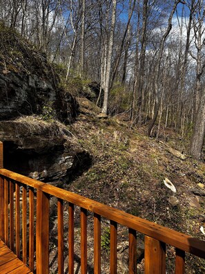 Property grounds - Cozy Bluff Retreat by Giant City & Makanda Boardwalk. 9 miles to SIU. (Makanda)