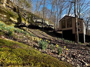 A house with a sloped roof, a visible garage, and a natural surrounding with trees and daffodils. - Cozy Bluff Retreat by Giant City & Makanda Boardwalk. 9 miles to SIU. (Makanda)