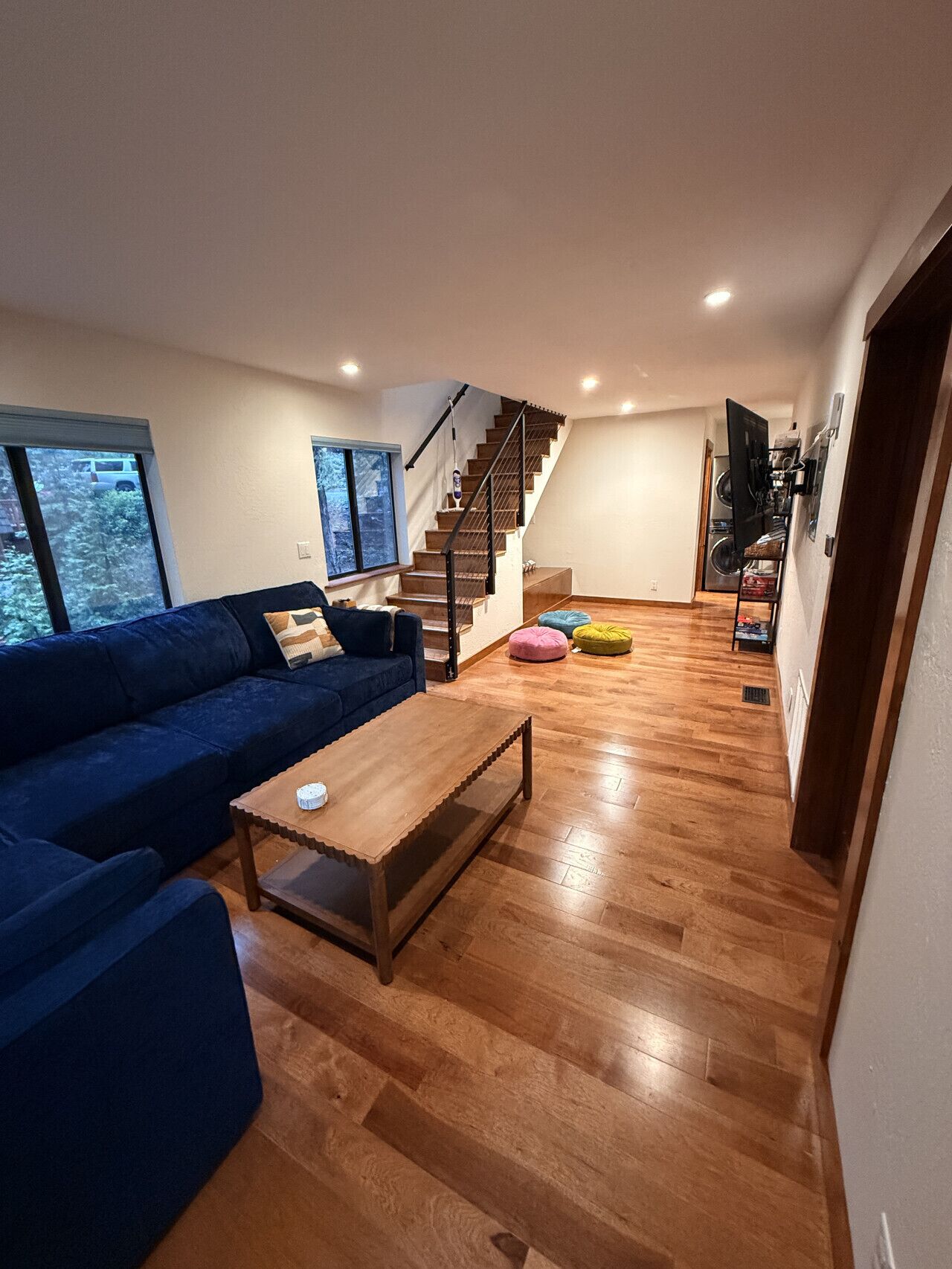 TV, fireplace, books